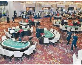 彩神VIl彩票2024最新版